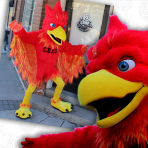phoenix mascot costume