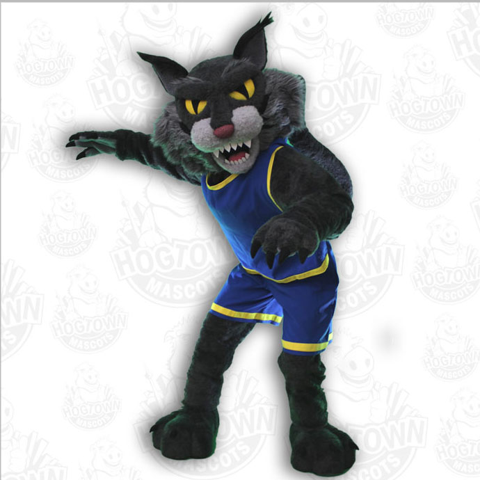 North west central high school wildcat mascot costume
